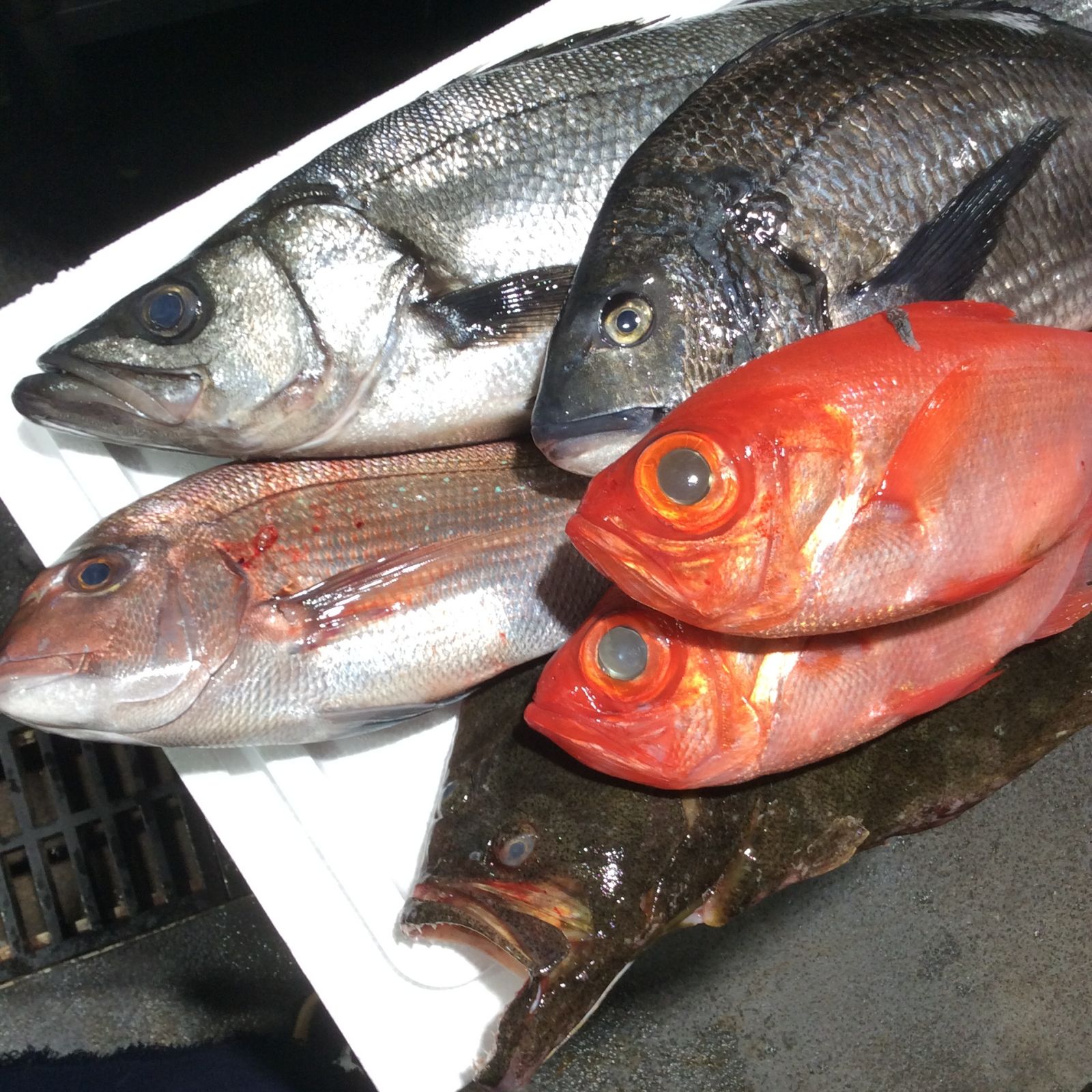 新鮮なお魚 吉祥寺の居酒屋「旬肴・酒 和-kazu-」からのお知らせ | 吉祥寺の居酒屋「旬肴・酒 和-kazu-」からのお知らせ