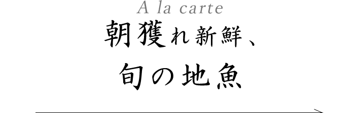 朝獲れ新鮮、旬の地魚